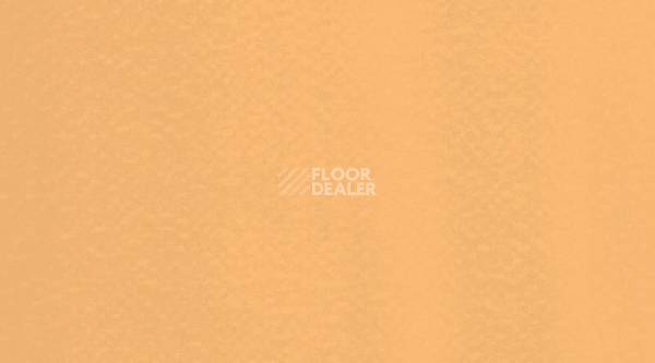 Линолеум Gerflor Mural Ultra 4116 Apricot фото 1 | FLOORDEALER